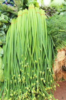 Soğan çiçek kök pazarda yemek pişirmek için