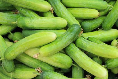 Belgili tanımlık çarşı içinde yemek pişirmek için taze salatalık