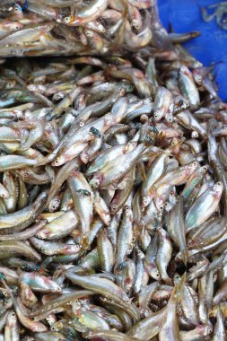 Marke içinde yemek pişirmek için taze balık