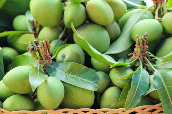 Mango meyve sokak gıda lezzetlidir