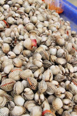belgili tanımlık çarşı içinde yemek pişirmek için taze cockle