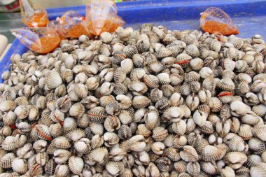 belgili tanımlık çarşı içinde yemek pişirmek için taze cockle