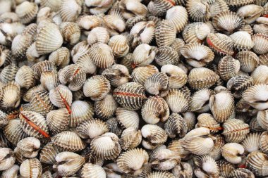 belgili tanımlık çarşı içinde yemek pişirmek için taze cockle