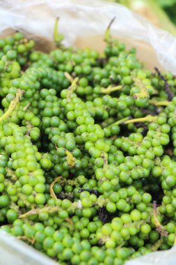 yeşil biber grup sokak gıda olduğunu