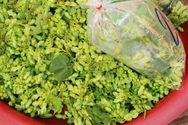 Sesbania, pazarda yemek pişirmek için javanica sarı çiçek