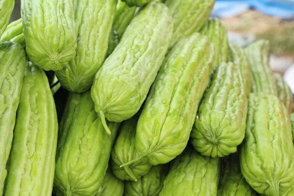 Bitter meloen kalebas voor het koken in de markt — Stockfoto