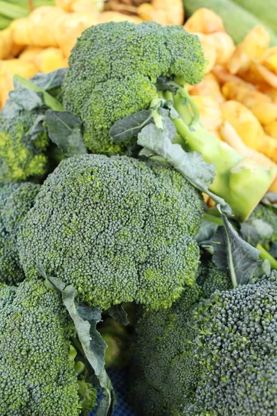 Légume brocoli pour cuisiner sur le marché — Photo