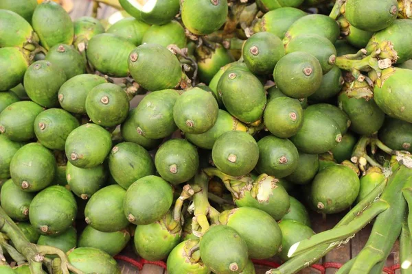 Tembul hurma ile doğa Market — Stok fotoğraf