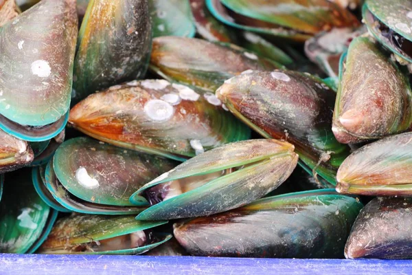 Mussel segar untuk memasak di pasar — Stok Foto