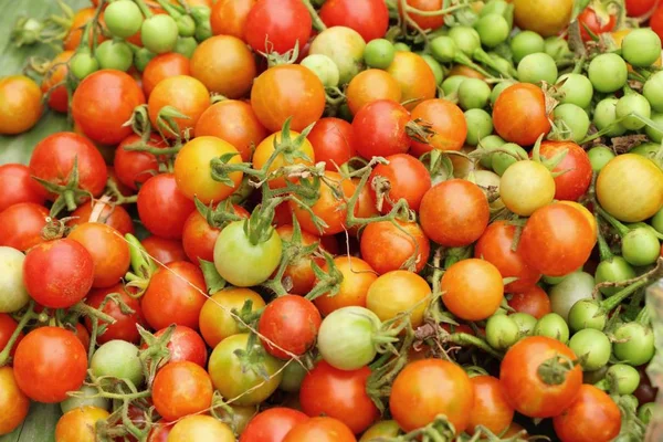 Fresh tomatoes for cooking in street food — Stock Photo, Image