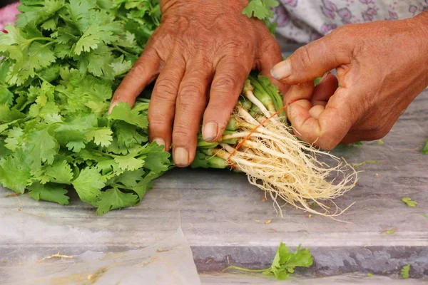 Verse koriander voor het koken op de markt — Stockfoto