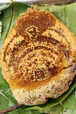 Bal piyasasında altın petek