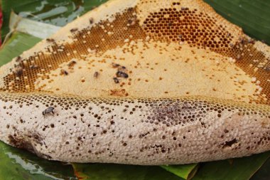 Bal piyasasında altın petek