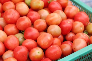 Sokak gıda yemek için taze domates