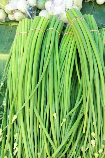 Caule de flor de cebola para cozinhar no mercado — Fotografia de Stock