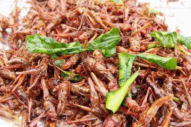 Kızarmış böcekler lezzetli içinde belgili tanımlık çarşı