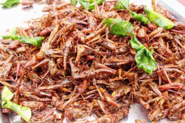 Kızarmış böcekler lezzetli içinde belgili tanımlık çarşı