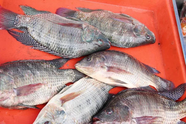 Färsk fisk för matlagning på marknaden — Stockfoto