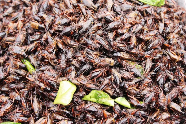 Fried insects is delicious in the market — Stock Photo, Image