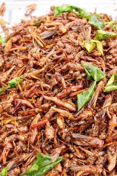 Kızarmış böcekler lezzetli içinde belgili tanımlık çarşı — Stok fotoğraf