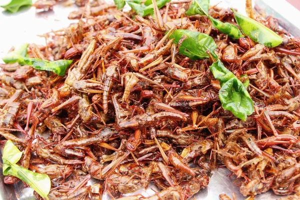 Gebratene Insekten sind köstlich auf dem Markt — Stockfoto
