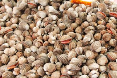 belgili tanımlık çarşı içinde yemek pişirmek için taze cockle