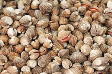 belgili tanımlık çarşı içinde yemek pişirmek için taze cockle