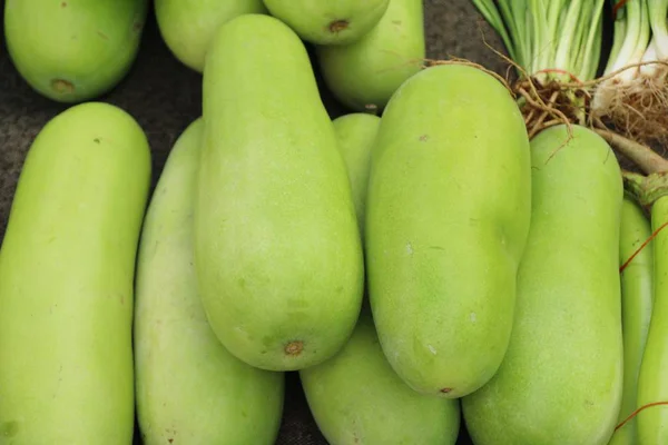 Melone invernale per cucinare nel mercato — Foto Stock