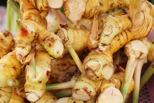 Färsk galangal för matlagning på marknaden — Stockfoto