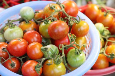 Sokak gıda yemek için taze domates