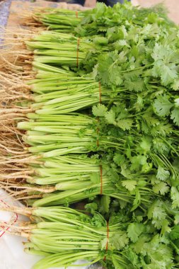 Belgili tanımlık çarşı içinde yemek pişirmek için taze kişniş