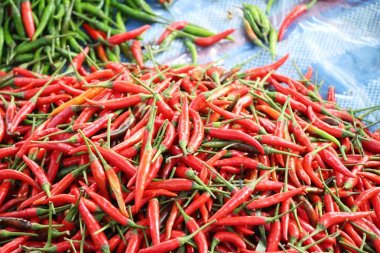 Sokak gıda yemek pişirmek için taze biber