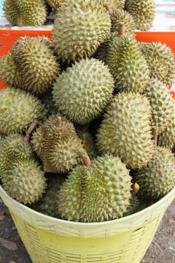 Durian meyve sokak gıda lezzetlidir