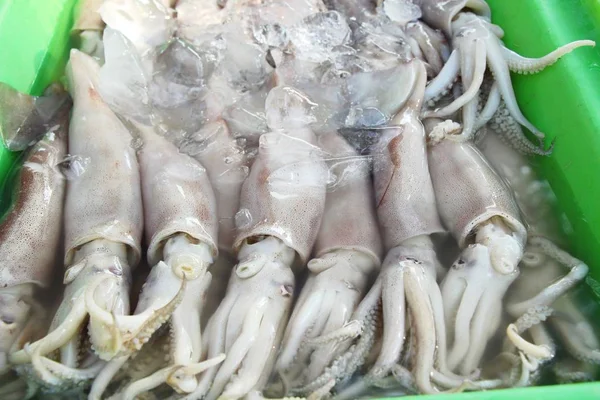 Świeże kalmary do gotowania przy ulicy żywności — Zdjęcie stockowe