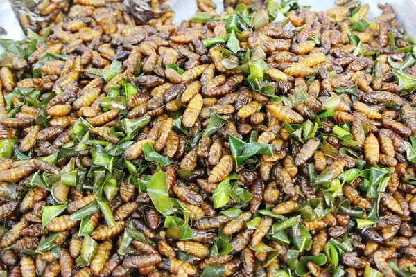 Fried silk worms delicious in street food — Stock Photo, Image