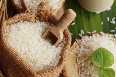 Yemek pişirmek için Yasemin pirinç ve pirinç hasat için 