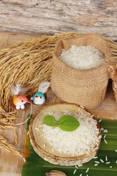 Arroz de jazmín para cocinar y arroz para cosechar — Foto de Stock