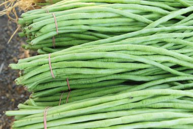 Sokak gıda yemek pişirmek için uzun fasulye