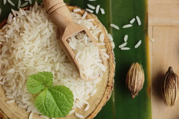Ryż jaśminowy do gotowania i ryżu dla zbiorów — Zdjęcie stockowe