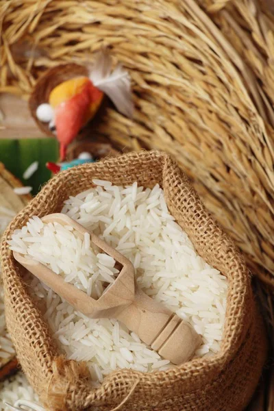 用于烹调的茉莉花饭和收割的大米 — 图库照片