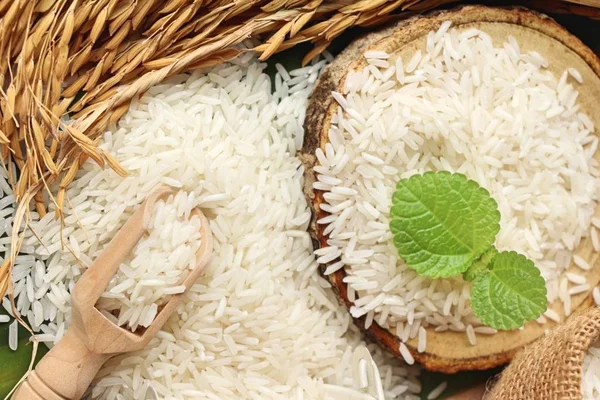 Jasmin de riz pour la cuisson et riz pour la récolte — Photo