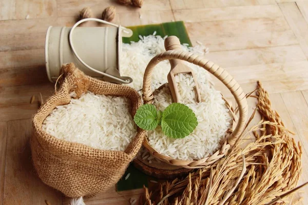 Arroz de jazmín para cocinar y arroz para cosechar — Foto de Stock