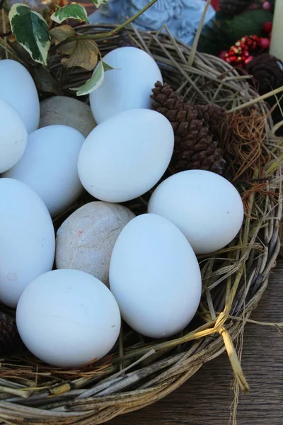 Huevos de pascua y conos de pino con naturaleza —  Fotos de Stock