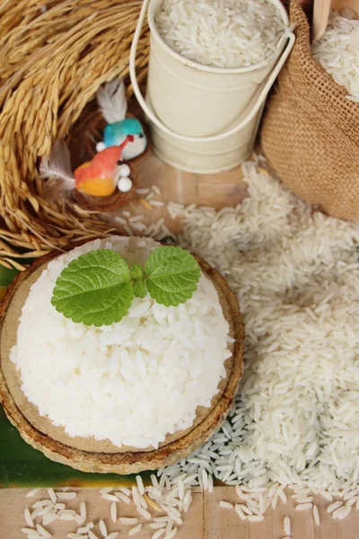 Cooked jasmine rice and raw organic rice — Stock Photo, Image