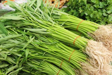 Yeşil sabah markette yemek pişirmek için zafer