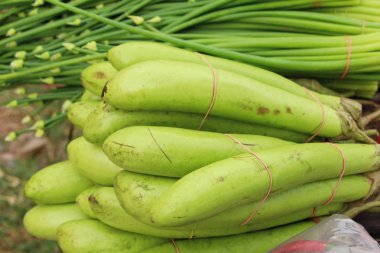 Taze patlıcan yeşil organik pazar