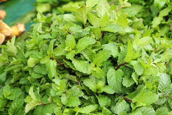 Pepper daun mint untuk memasak di pasar — Stok Foto