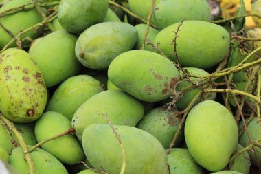 Mango meyve sokak gıda lezzetlidir