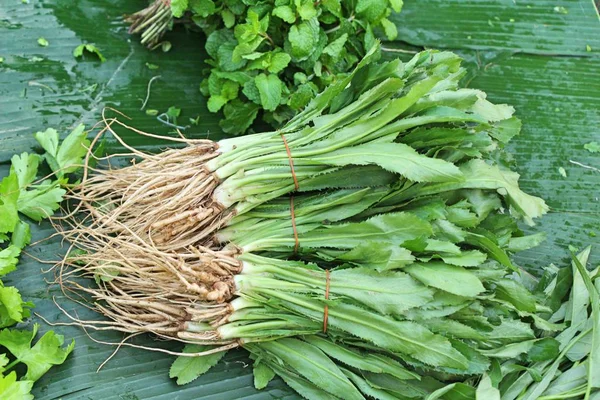 Perejil fresco Asia para cocinar en el mercado — Foto de Stock