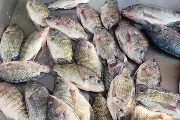 Verse vis voor het koken op straat eten — Stockfoto